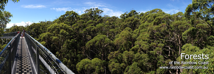 Forests along the South Coast of Western Australia