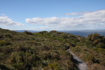 Bibbulmun Track through West Cape Howe
