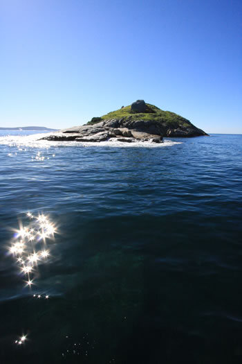 Seal Island, King George Sound